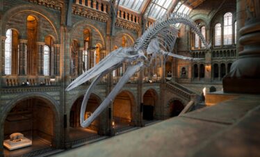 National Museum of Scotland