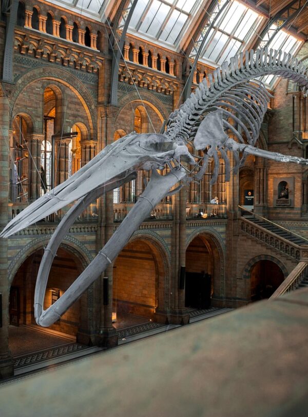 National Museum of Scotland
